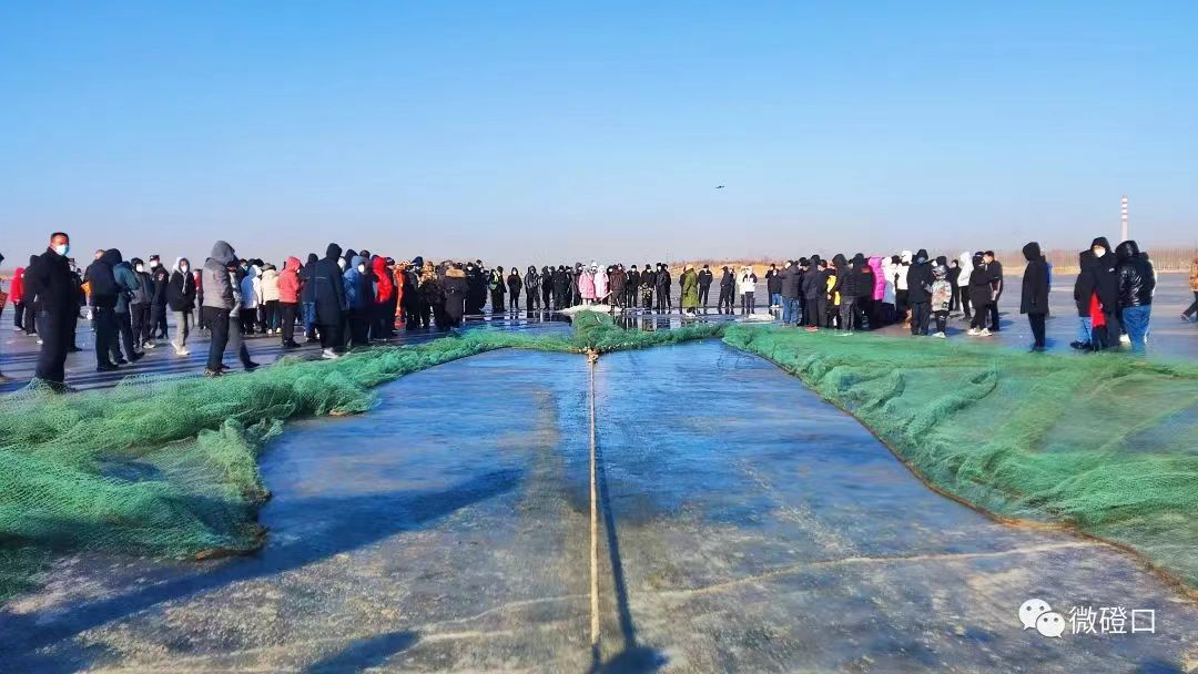 1672882502781045132.jpg 4.jpg