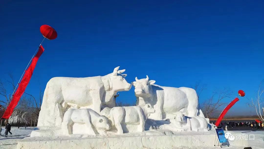 1672882529532028079.jpg 5.jpg